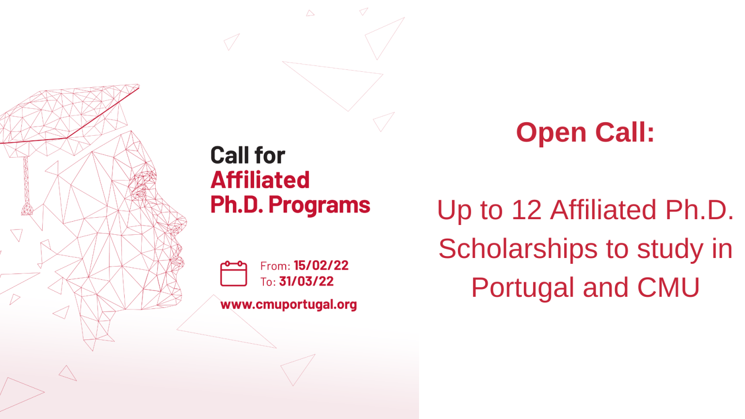 phd scholarships portugal